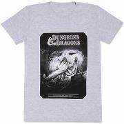 T-shirt Dungeons &amp; Dragons HE1478