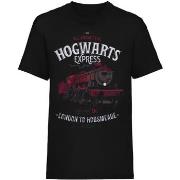 T-shirt Harry Potter All Aboard