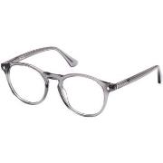 Lunettes de soleil Web WE5387 Cadres Optiques, Gris, 50 mm