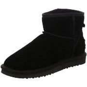 Bottes Oog -