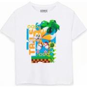 T-shirt enfant Sonic The Hedgehog NS7427