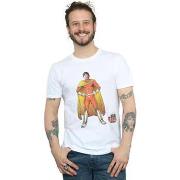 T-shirt The Big Bang Theory BI13075