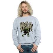 Sweat-shirt Hulk BI1875