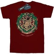 T-shirt enfant Harry Potter BI1681