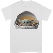 T-shirt Star Wars: The Mandalorian BI246