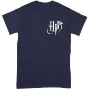 T-shirt Harry Potter BI261