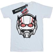 T-shirt Marvel BI516