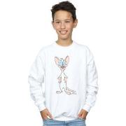 Sweat-shirt enfant Animaniacs BI5607