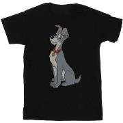 T-shirt enfant Disney Lady And The Tramp