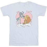 T-shirt Disney Lady And The Tramp Love