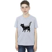 T-shirt enfant Disney Hocus Pocus A Cat Person