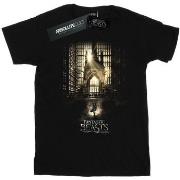 T-shirt enfant Fantastic Beasts BI17938