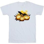 T-shirt enfant Dc Comics Batman Pumpkins
