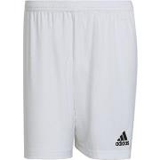 Pantalon adidas ENT 22 SHORT BL