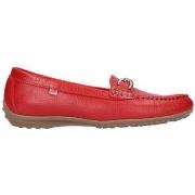 Chaussures escarpins Fluchos 804 FLOTER ROJO Mujer Rojo