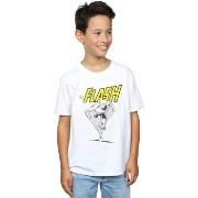 T-shirt enfant Dc Comics BI15909