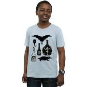 T-shirt enfant Fantastic Beasts BI17454