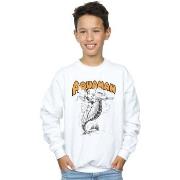 Sweat-shirt enfant Dc Comics BI15017