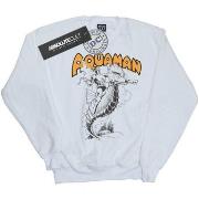 Sweat-shirt Dc Comics BI15208