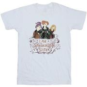 T-shirt enfant Disney Hocus Pocus Sanderson Sister