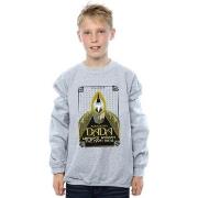 Sweat-shirt enfant Fantastic Beasts Advanced DADA