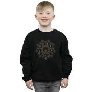 Sweat-shirt enfant Fantastic Beasts BI16680