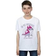 T-shirt enfant Disney Frozen 2 Salamander Bruni Element