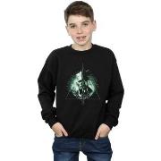 Sweat-shirt enfant Fantastic Beasts BI16717