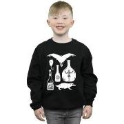 Sweat-shirt enfant Fantastic Beasts BI16774