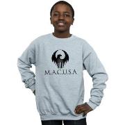 Sweat-shirt enfant Fantastic Beasts BI16797