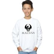 Sweat-shirt enfant Fantastic Beasts BI16797