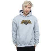 Sweat-shirt Dc Comics Justice League