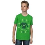 T-shirt enfant Harry Potter BI20144