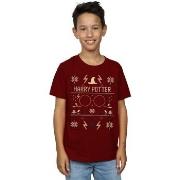T-shirt enfant Harry Potter BI20145