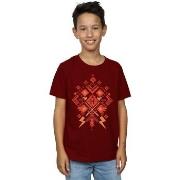 T-shirt enfant Harry Potter BI20165