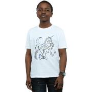 T-shirt enfant Harry Potter BI20428