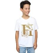 T-shirt enfant Harry Potter BI20519