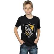 T-shirt enfant Harry Potter BI20522