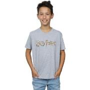 T-shirt enfant Harry Potter BI20540