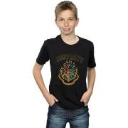 T-shirt enfant Harry Potter Varsity Style Crest