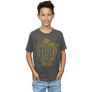 T-shirt enfant Harry Potter BI20732