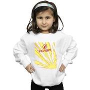 Sweat-shirt enfant Dc Comics BI17196