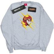 Sweat-shirt Dc Comics BI17328