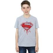 T-shirt enfant Dc Comics Superman Geo Logo