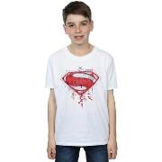 T-shirt enfant Dc Comics BI10460