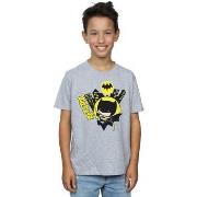 T-shirt enfant Dc Comics BI12553