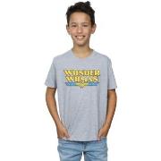 T-shirt enfant Dc Comics BI15375