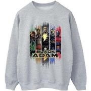 Sweat-shirt Dc Comics JSA