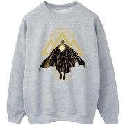 Sweat-shirt Dc Comics Black Adam Rising Golden Symbols