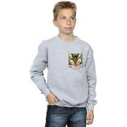 Sweat-shirt enfant Dessins Animés BI22920